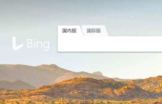 必應(yīng)搜索被曝包含兒童色情內(nèi)容，微軟：將努力修復(fù)
